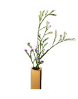 Bush of copper Square