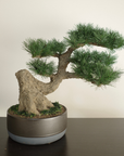 Shirabe / Artificial Modern Bonsai (LL) オンライン限定