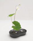 雫影 かたかご 花器
