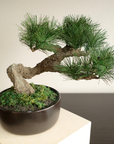 Shirabe / Artificial Modern Bonsai (L)