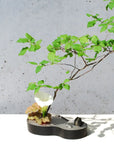 雫影 HISAGO 花器