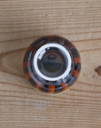 美濃焼 黄彩釉 酒器揃