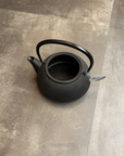 南部鉄器 岩鋳 鉄瓶 650ml アラレ(IH対応)
