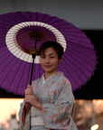 京和傘 蛇の目傘 中入