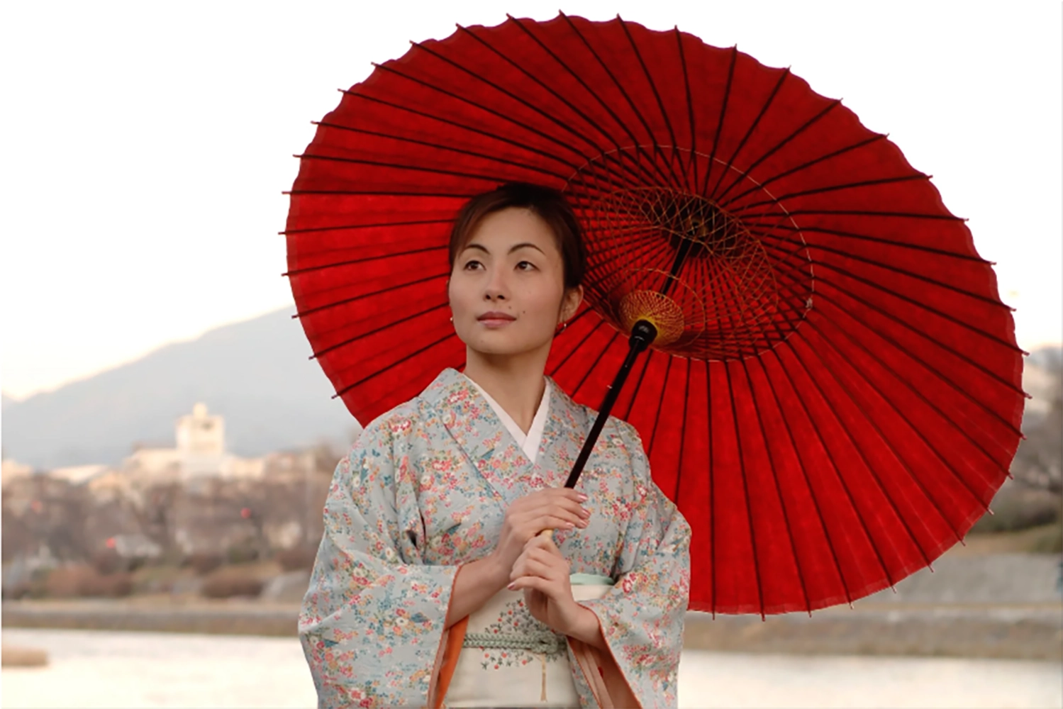 京和傘 蛇の目傘 無地