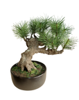 Shirabe / Artificial Modern Bonsai  (M)
