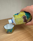 九谷焼 晩酌 ぶどうにりす 酒器セット