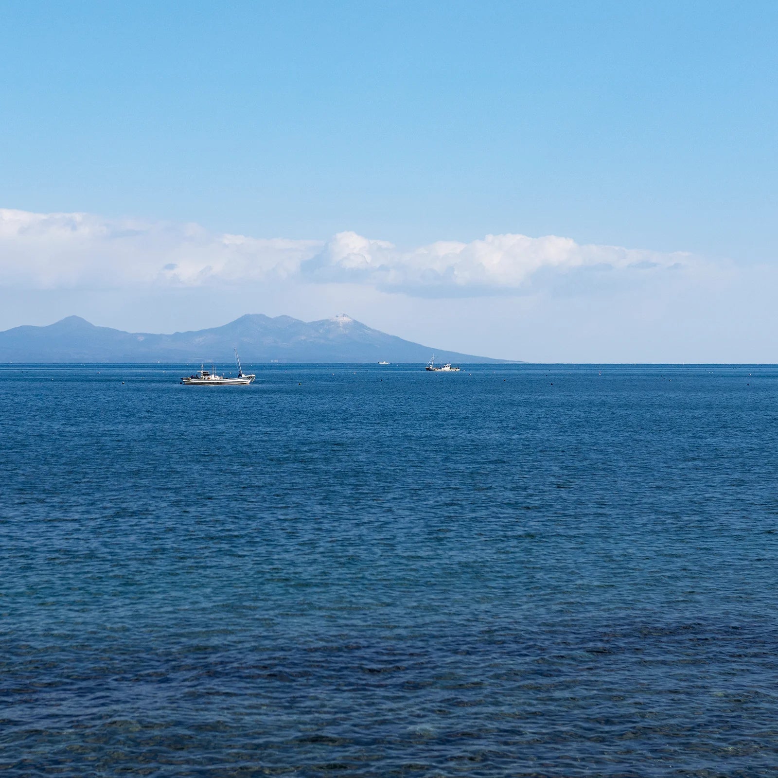 津軽びいどろ あおもりの海 おちょこ4点セット