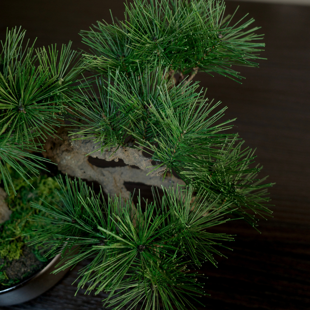 Shirabe / Artificial Modern Bonsai (L)