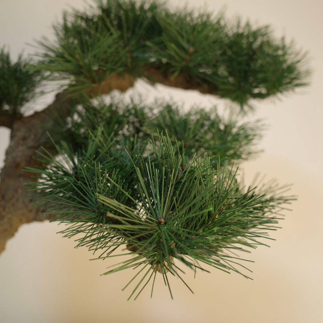 Shirabe / Artificial Modern Bonsai (LL) オンライン限定
