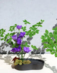 雫影 かたかご 花器