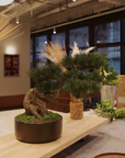 Shirabe / Artificial Modern Bonsai (LL) オンライン限定