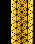 照明