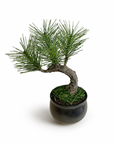 Shirabe / Artificial Modern Bonsai  (Petit)