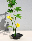 雫影 すいれん 花器