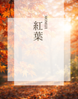 カタログギフト MOMIJI【eギフト】