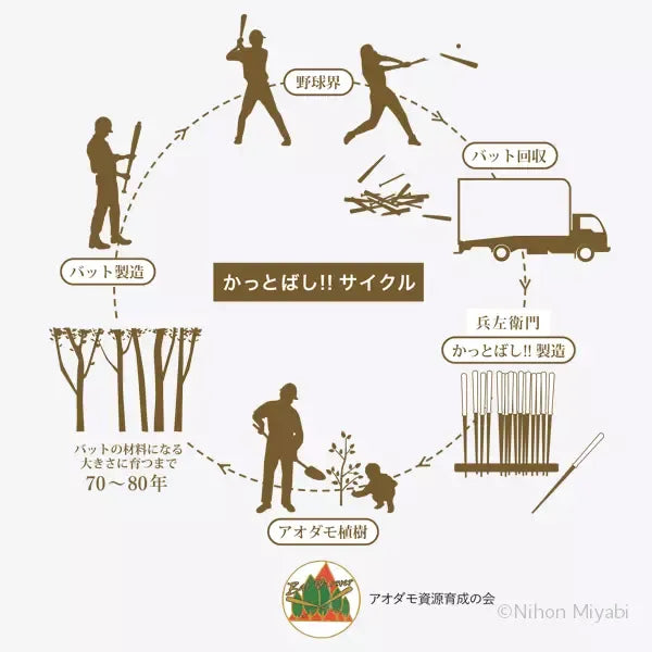 かっとばし!!無地（大） 箸 兵左衛門