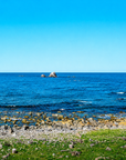 津軽びいどろ あおもりの海 風鈴 太平洋